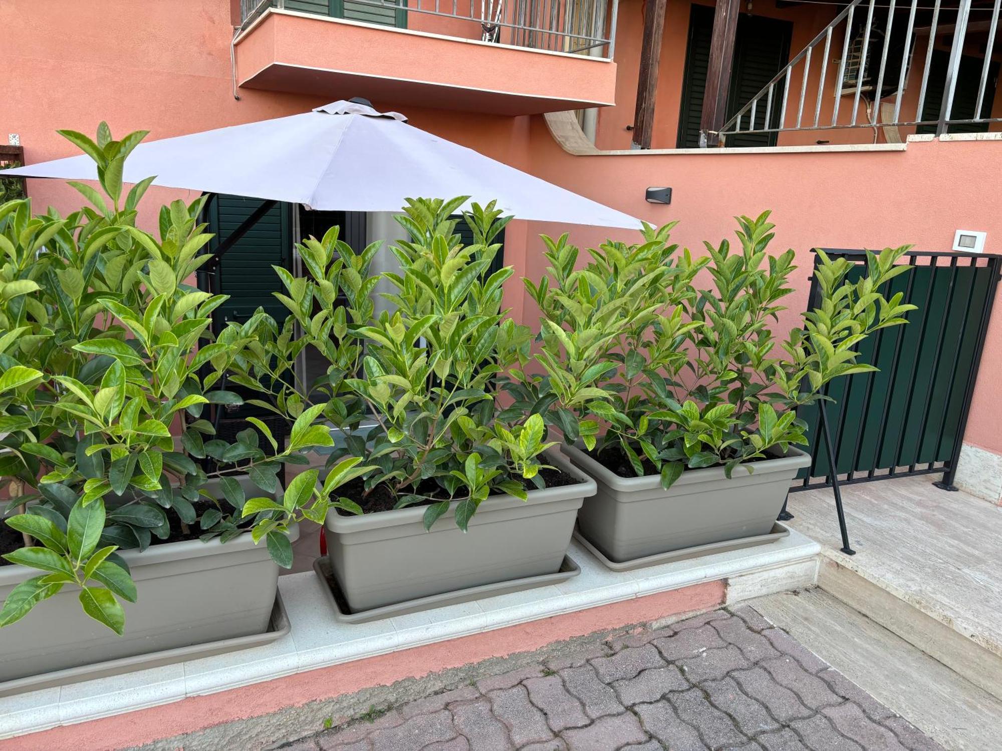 Casa Vacanza Scala Dei Turchi ريالمونتي المظهر الخارجي الصورة